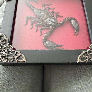 Etsy buyer added a photo of their purchase