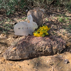 Wendy lade till en bild av sitt köp