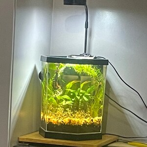 71+ Contoh Aquarium Kecil HD