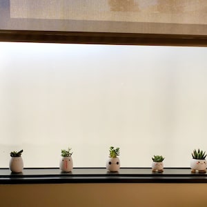 Hanh ha aggiunto una foto del proprio acquisto