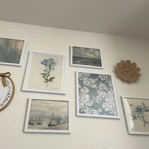 Addison ha añadido una foto de su compra