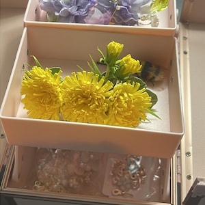 Natalie added a photo of their purchase
