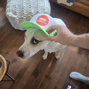 Sonya added a photo of their purchase