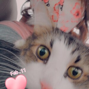 Jenna added a photo of their purchase