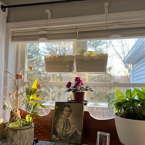 Lynn added a photo of their purchase