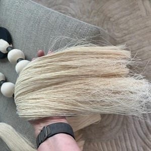 Jill added a photo of their purchase
