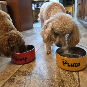 Julie added a photo of their purchase