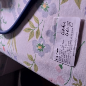 Mary added a photo of their purchase