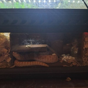 Sara added a photo of their purchase