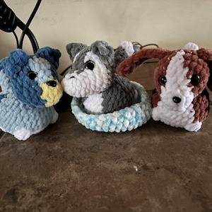 Courtney added a photo of their purchase