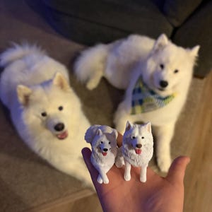 Alexz added a photo of their purchase