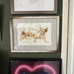 torquay-cat added a photo of their purchase