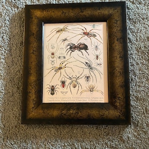 Eva added a photo of their purchase