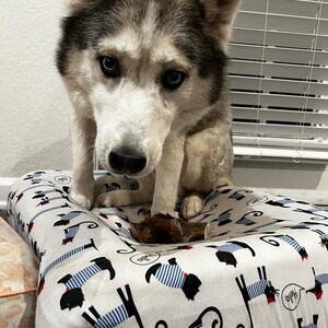 Mari added a photo of their purchase