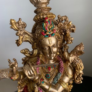 Renu added a photo of their purchase