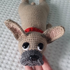 Carola added a photo of their purchase