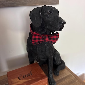 Chris added a photo of their purchase