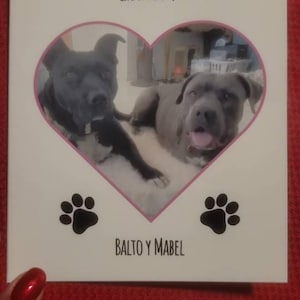 Patricia added a photo of their purchase