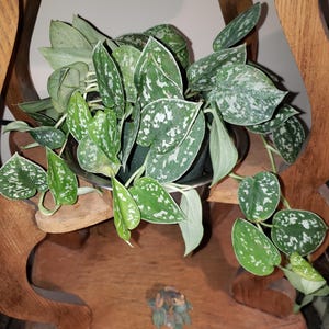 Carolyn added a photo of their purchase