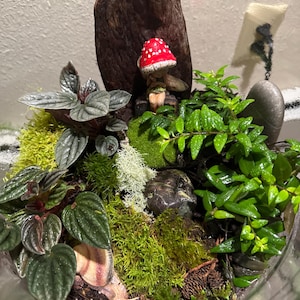 Judy added a photo of their purchase