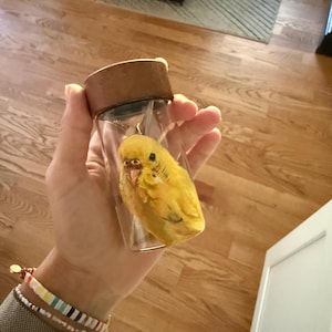 Megan ha añadido una foto de su compra