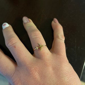 Ashley added a photo of their purchase
