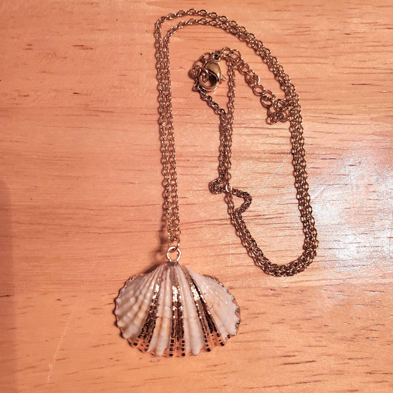 Natural Seashell Necklace, Boho Jewelry, Seashell Pendant Necklace, Cowrie Adjustable Necklace, Beach Wedding, Ocean Jewelry