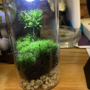 Susan added a photo of their purchase