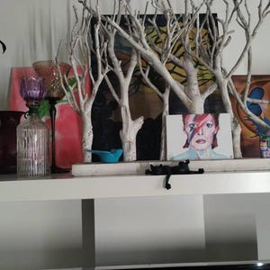 Maria added a photo of their purchase