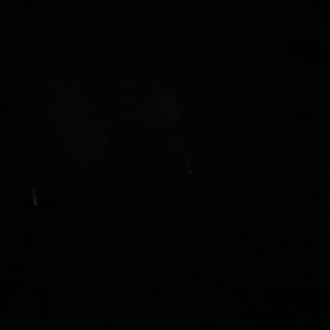 Jennifer added a photo of their purchase