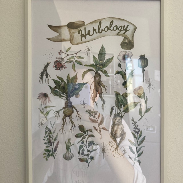 Herbology Medicinal Plant Chart Magic Botanical Watercolor Printable Wall Art Whimsical Wizarding Kitchen Decor Digital Download Etsy