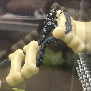 Morgue added a photo of their purchase