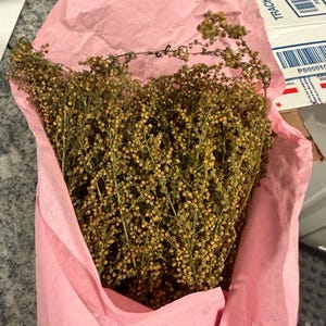 Kelly adicionaram uma foto da sua compra