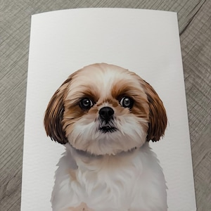 Anela added a photo of their purchase
