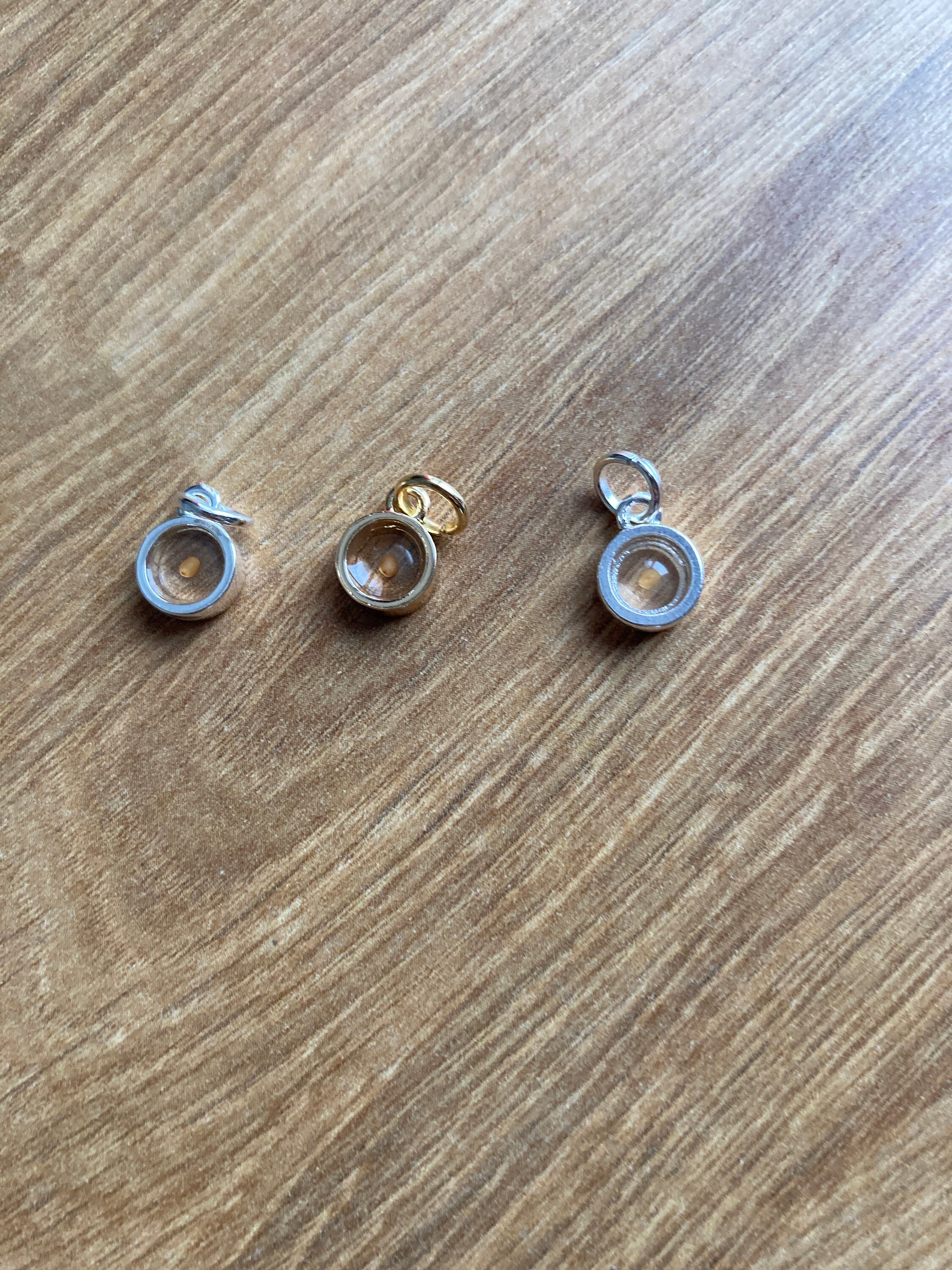 Mustard Seed charms,  silver mustard seed charms,  gold mustard seed charms, real mustard seed charm, faith charms, tiny mustard seed charms