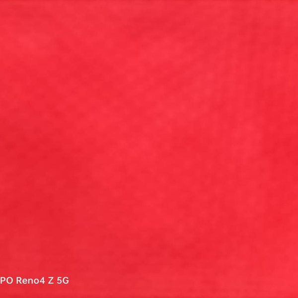 Tshirt Cat T Shirt Kittens Cat Lovers Animal Gift Cute Cat With Flower