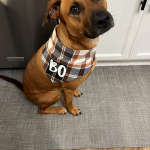 Stormi heeft een foto van de aankoop toegevoegd