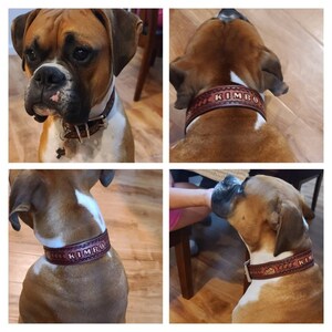 PERSONALIZED LEATHER COLLAR // Personalised Leather Dog Collar - Etsy