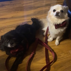 Melody added a photo of their purchase