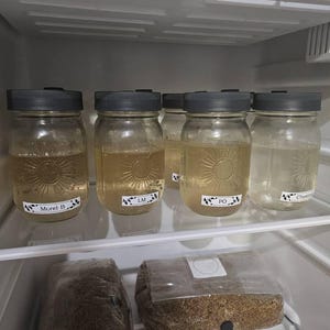 Silver added a photo of their purchase