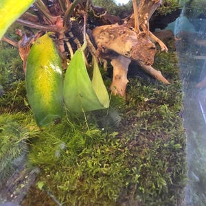 Oliver heeft een foto van zijn/haar aankoop toegevoegd