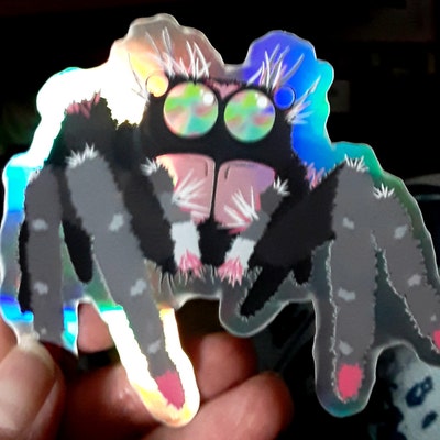 Jumping Spider Sticker Holographic Spider Sticker - Etsy