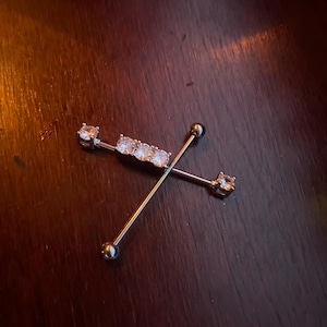 Видео жануарлардың жыныстық қатынасы