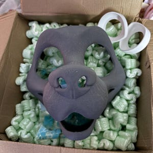 Vincent added a photo of their purchase