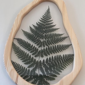 Marion added a photo of their purchase