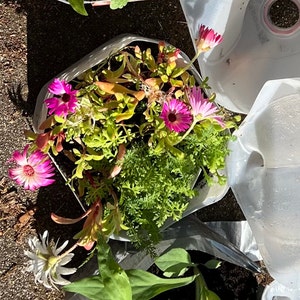 Missy added a photo of their purchase