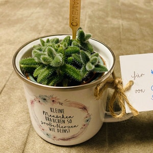 Susan ha añadido una foto de su compra