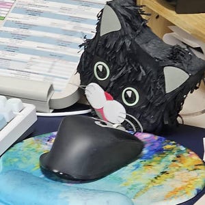 Carolyn added a photo of their purchase