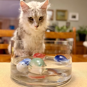 Alina added a photo of their purchase