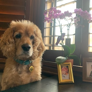 Evi ha añadido una foto de su compra